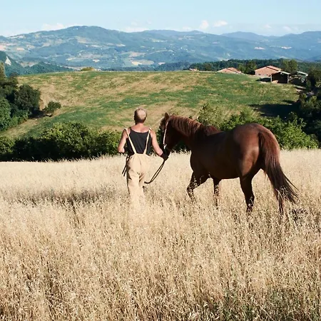 Ca' Lo Spicchio Hétvégi ház