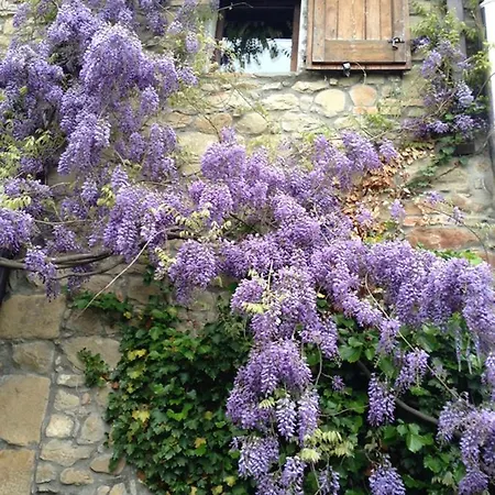 Casa di campagna Ca' Lo Spicchio