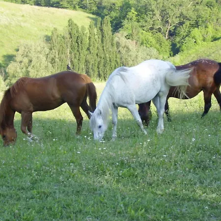 Ca' Lo Spicchio Hétvégi ház