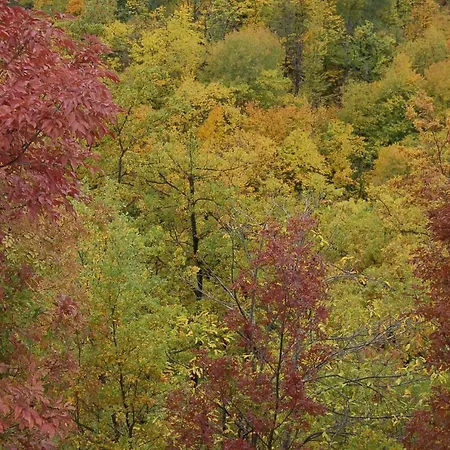 Ca' Lo Spicchio Monte San Pietro