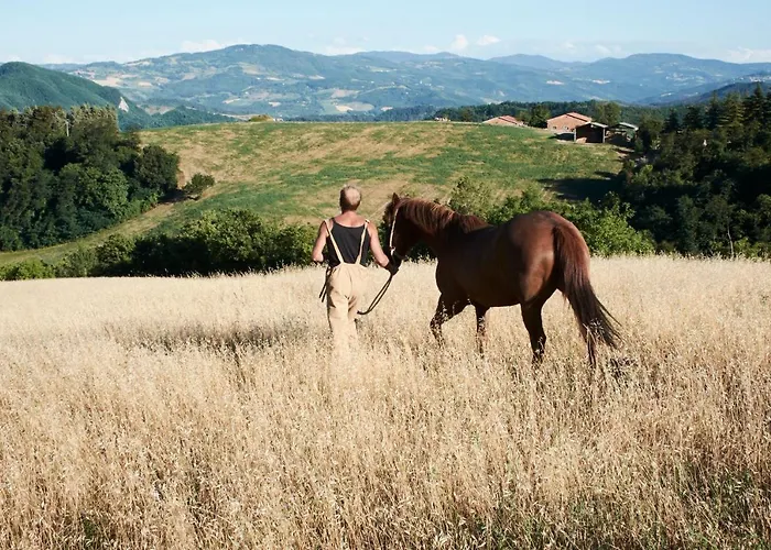 Ca' Lo Spicchio カントリーハウス