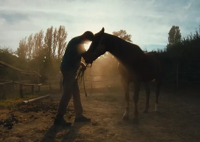 Ca' Lo Spicchio カントリーハウス