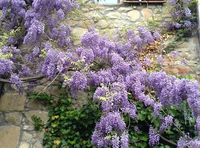 カントリーハウス Ca' Lo Spicchio