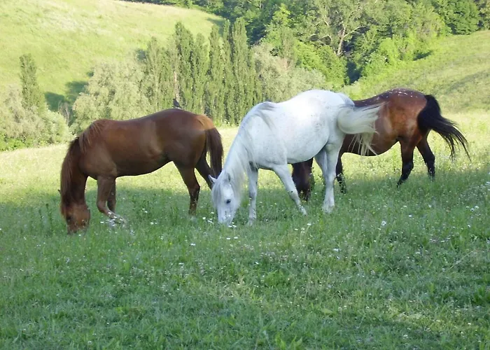 Ca' Lo Spicchio カントリーハウス