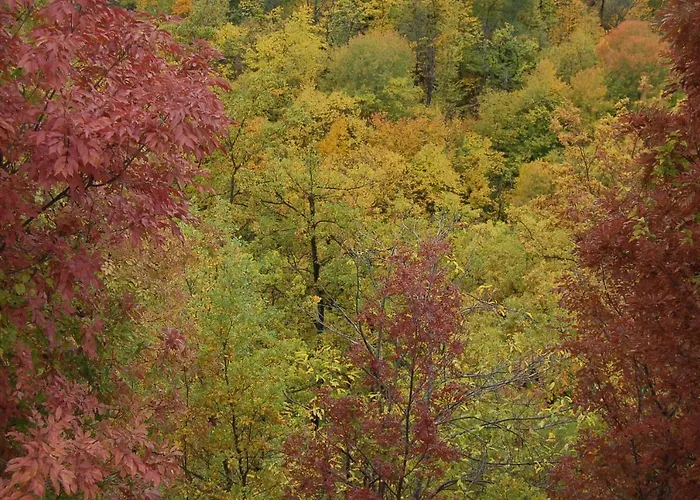 Ca' Lo Spicchio Monte San Pietro
