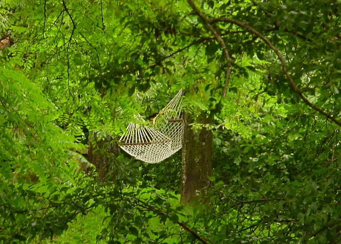 Ca' Lo Spicchio カントリーハウス *