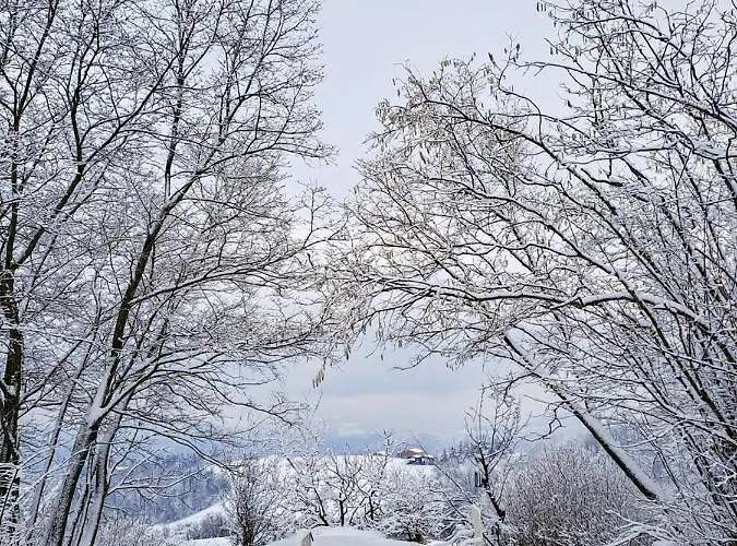 カントリーハウス Ca' Lo Spicchio *